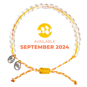 2024 Clownfish Bracelet | Limited Edition | 4ocean Bracelet of the Month